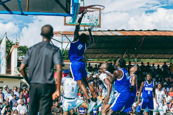 Équipements canins écoresponsables : découvrez le choix optimal avec inlandsis